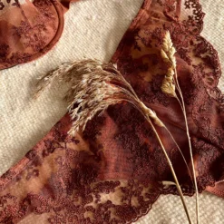 Coutille Accessories High Flyer Brazilian In Amaranth