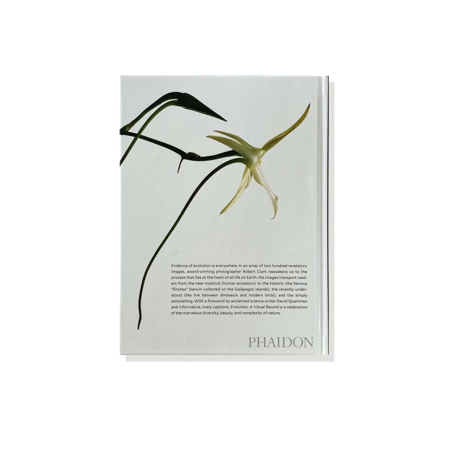 GBS Phaidon Evolution: A Visual Record Books