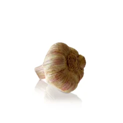 La Galine Ceramics Hand Painted Decorative Garlic