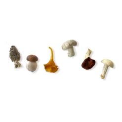 La Galine Ceramics Set Of 6 Hand Painted Mini Mushrooms