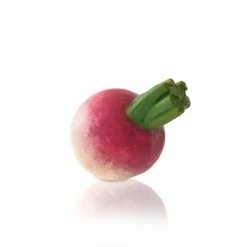 La Galine Hand Painted Decorative Turnip Ceramics